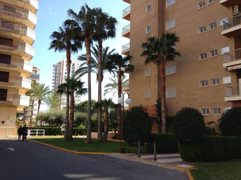 Apartamentos Benicàssim Værelse billede